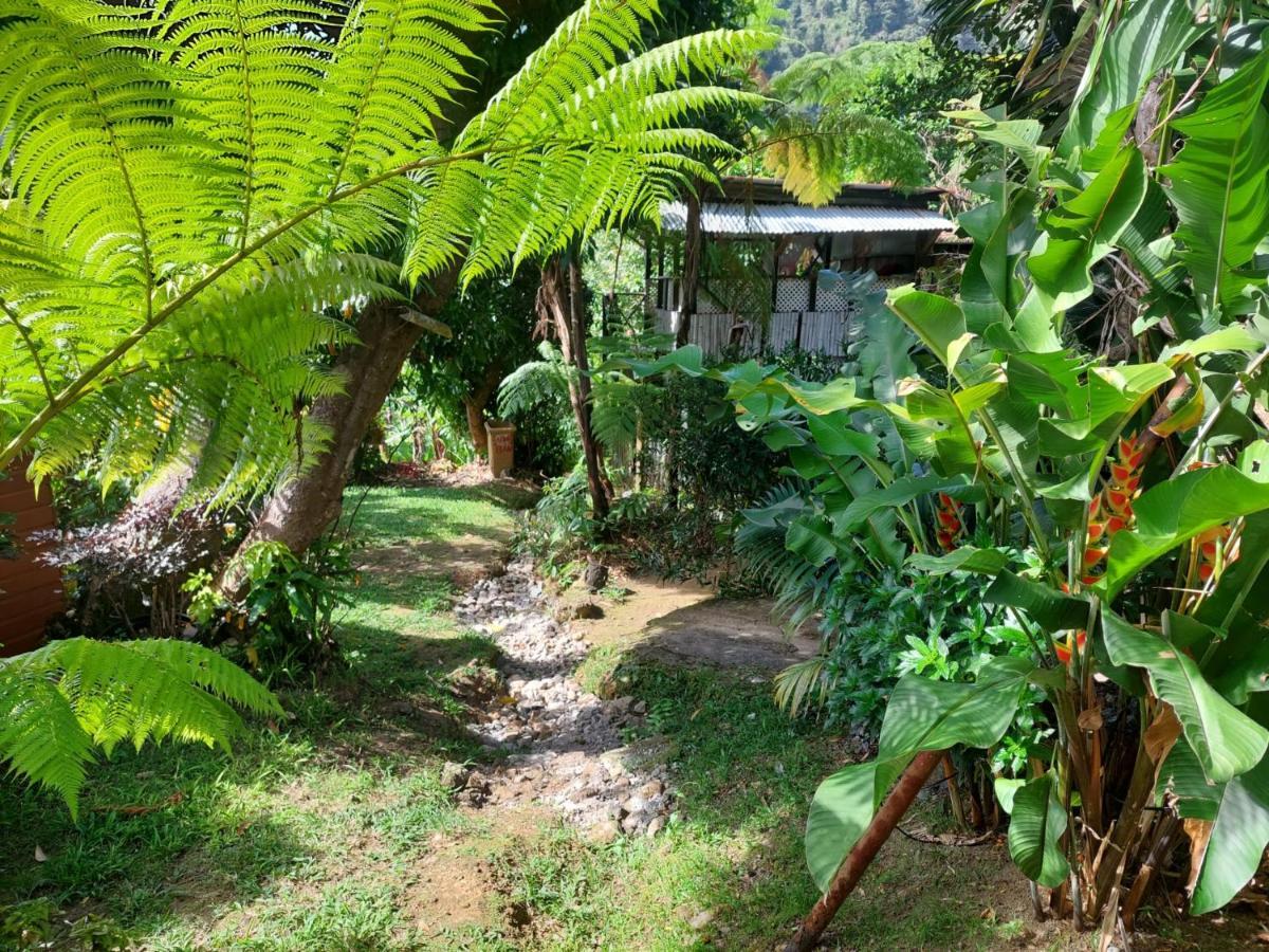 Le Petit Paradis Roseau Exterior foto