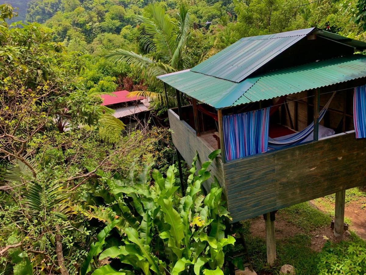 Le Petit Paradis Roseau Exterior foto